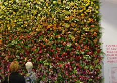 Impressive flower wall